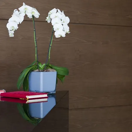 Oktober Downtown Hotel