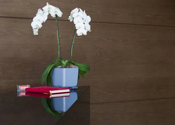 Oktober Downtown Boutique 호텔